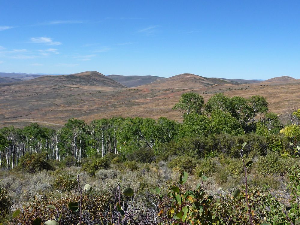 Fosile butte (13).JPG